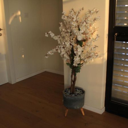 נס הבריאה Villa Midreshet Ben Gurion Luaran gambar